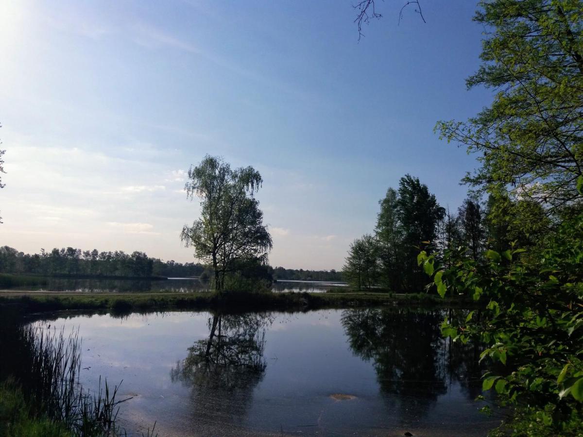 Ferienwohnung Lodig Gross Sarchen Exteriör bild